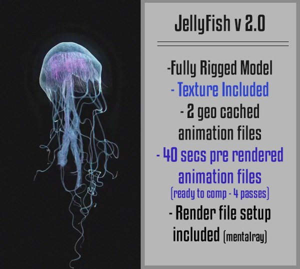 Jellyfish 3D Models for Download | TurboSquid