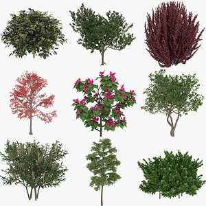 3D 9 Realistic Plants Pack Trees and Bush