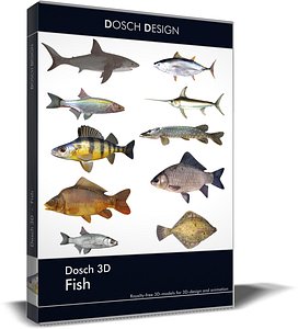 sea fish 3D model