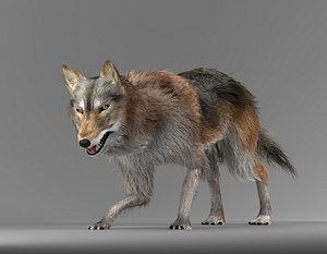 wolf fur 3D