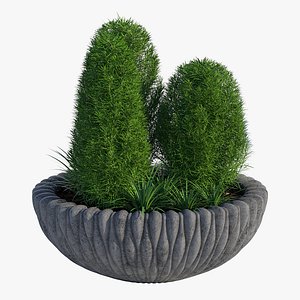 fluo 48x18 3D model