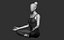 Lotus - Yoga Essence