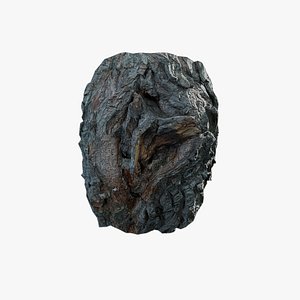 Anydrafts Salix matsudana Burl 02 model