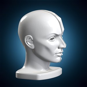 Face Split Bust Art Sculpture 3D Print Model