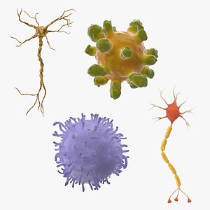 Microscopic Anatomy Collection