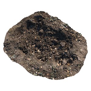 Ultra realistic Dirt pit Scan