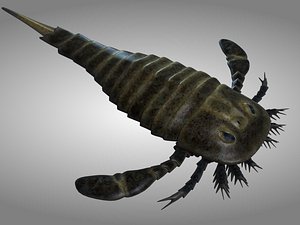 3d model sea scorpion scorpio