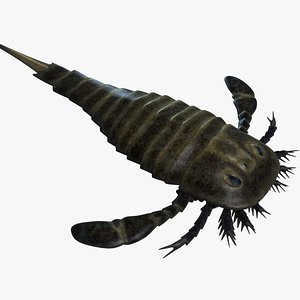 3d model sea scorpion scorpio