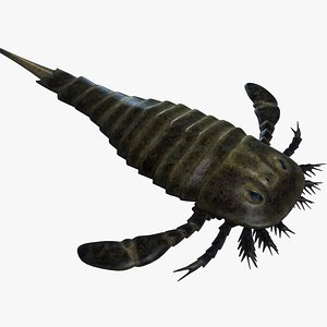 sea scorpion