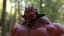 BELIAL DEMON