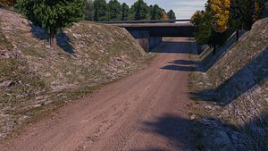 Forest Racetrack