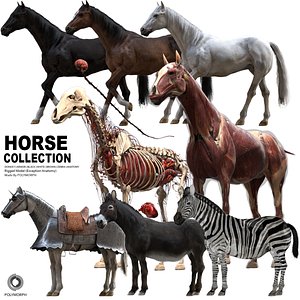 Horse Collection (Rigged)