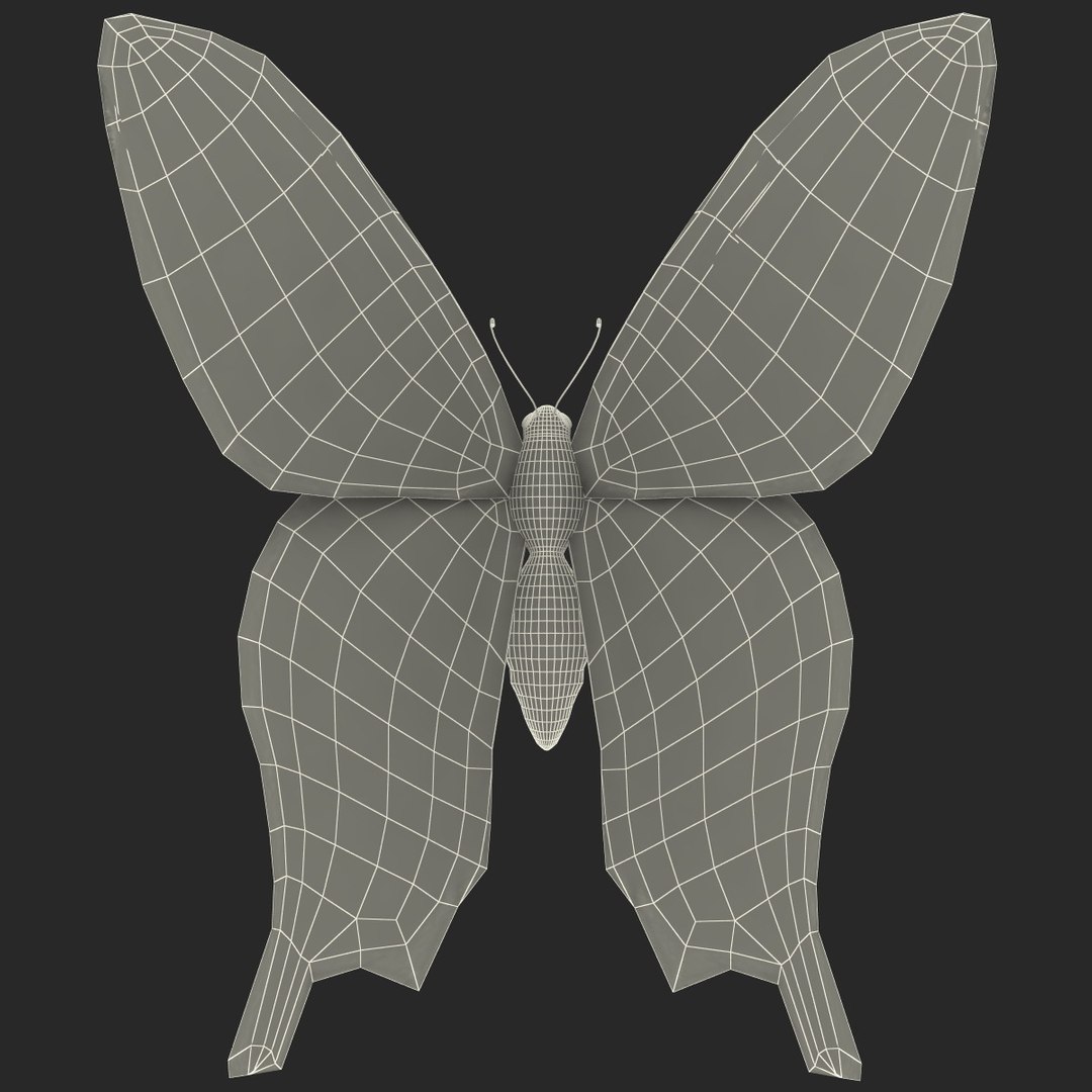 tiger swallowtail butterfly 3d model https://p.turbosquid.com/ts-thumb/fS/8VLZZk/Z75o3rWo/118180_tiger_swallowtail_butterfly_025/jpg/1361469097/1920x1080/fit_q87/04f745fd3d737ebae50794c347c53e21db937b86/118180_tiger_swallowtail_butterfly_025.jpg