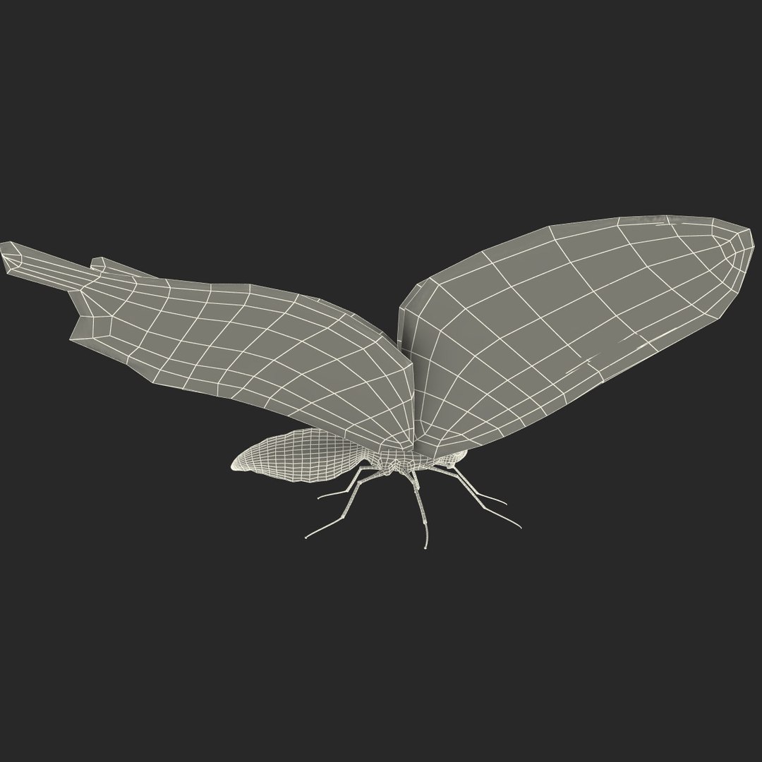tiger swallowtail butterfly 3d model https://p.turbosquid.com/ts-thumb/fS/8VLZZk/ZPXjhJnJ/118174_tiger_swallowtail_butterfly_019/jpg/1361469093/1920x1080/fit_q87/77c403e5cf01bd0828478c352bb9f0c8afaf40c0/118174_tiger_swallowtail_butterfly_019.jpg