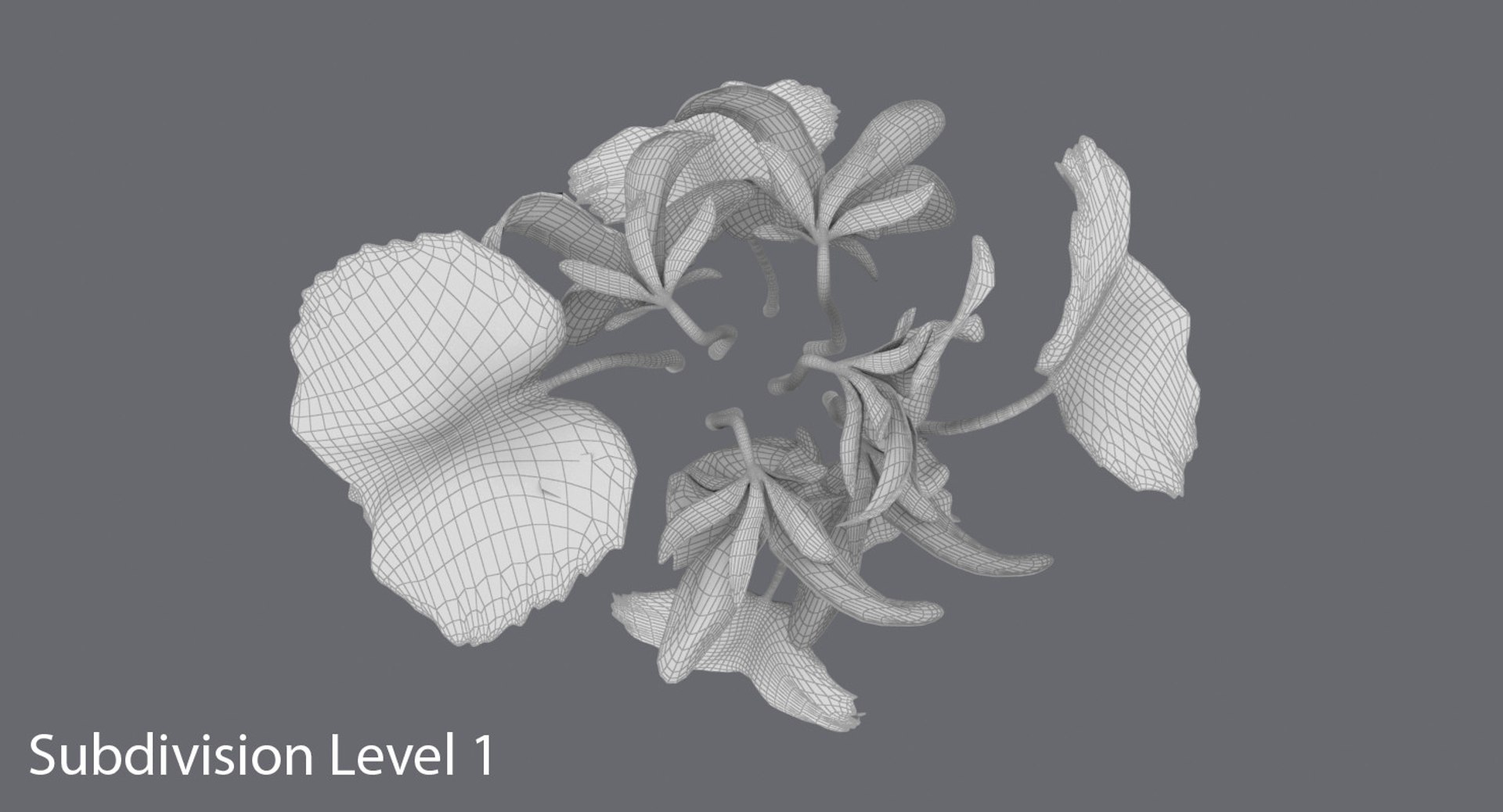Violet Group 3d Model