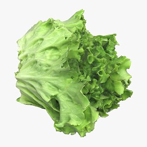 salad 3D model