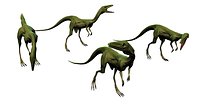 Compsognathus