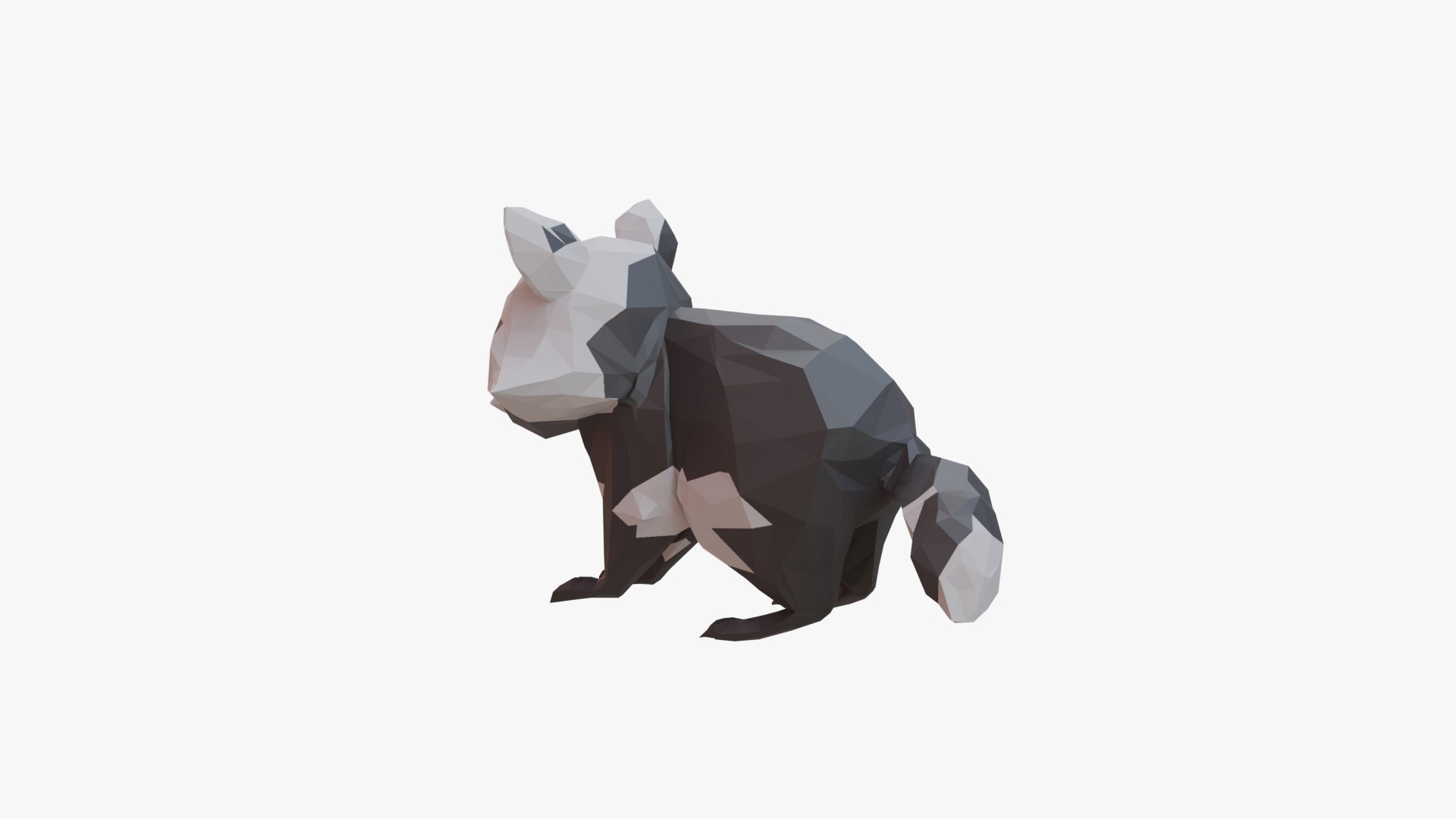 3D Raccoon Low Poly Model - TurboSquid 2429748