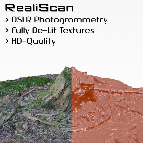 3d obj realiscan photogrammetry small stump