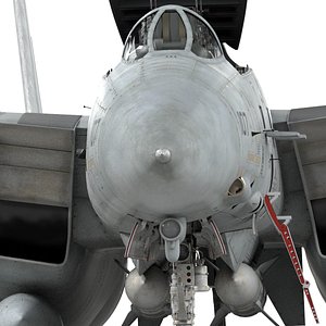 F-14D Super Tomcat Rigged