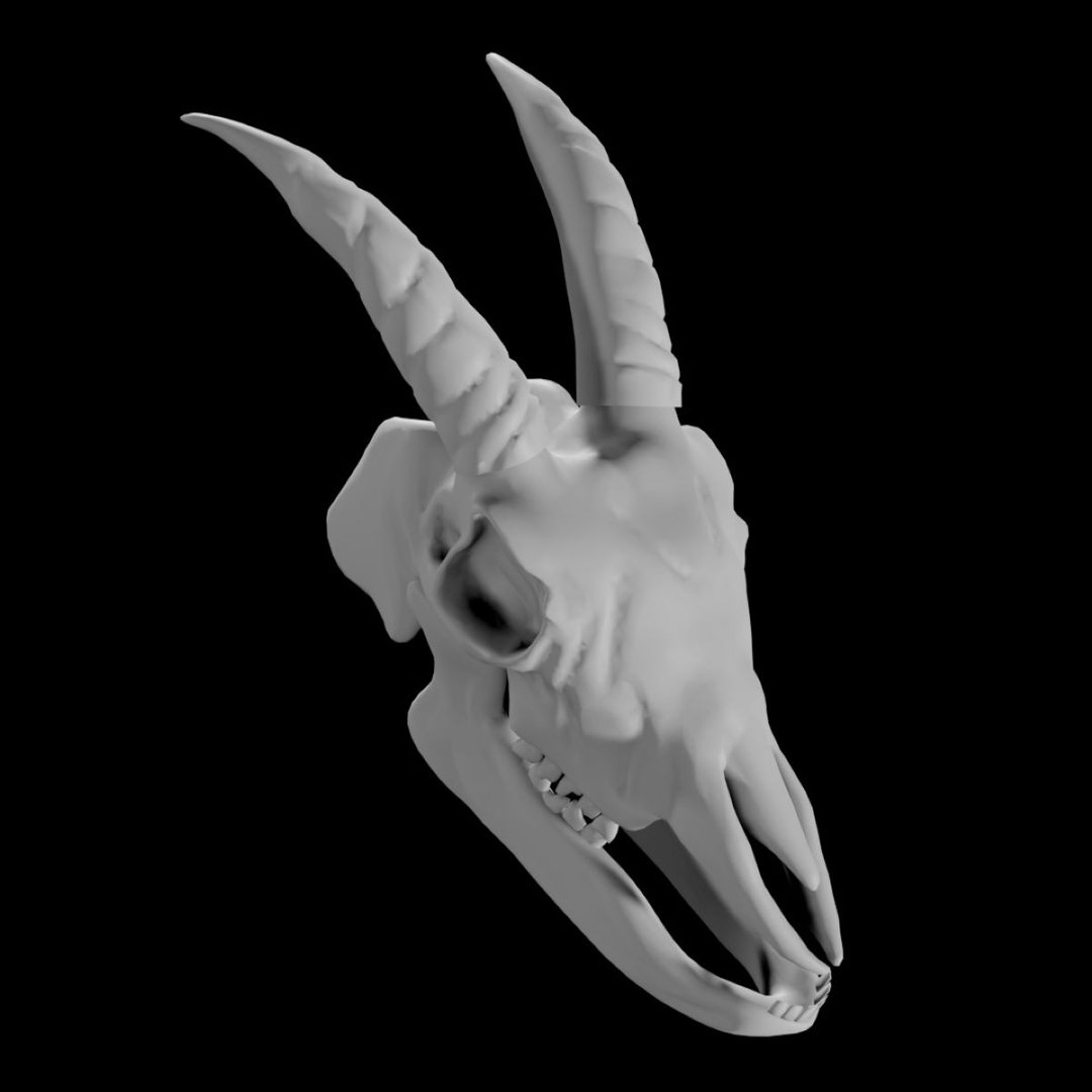 Goat Skull 3D Model - TurboSquid 1847232