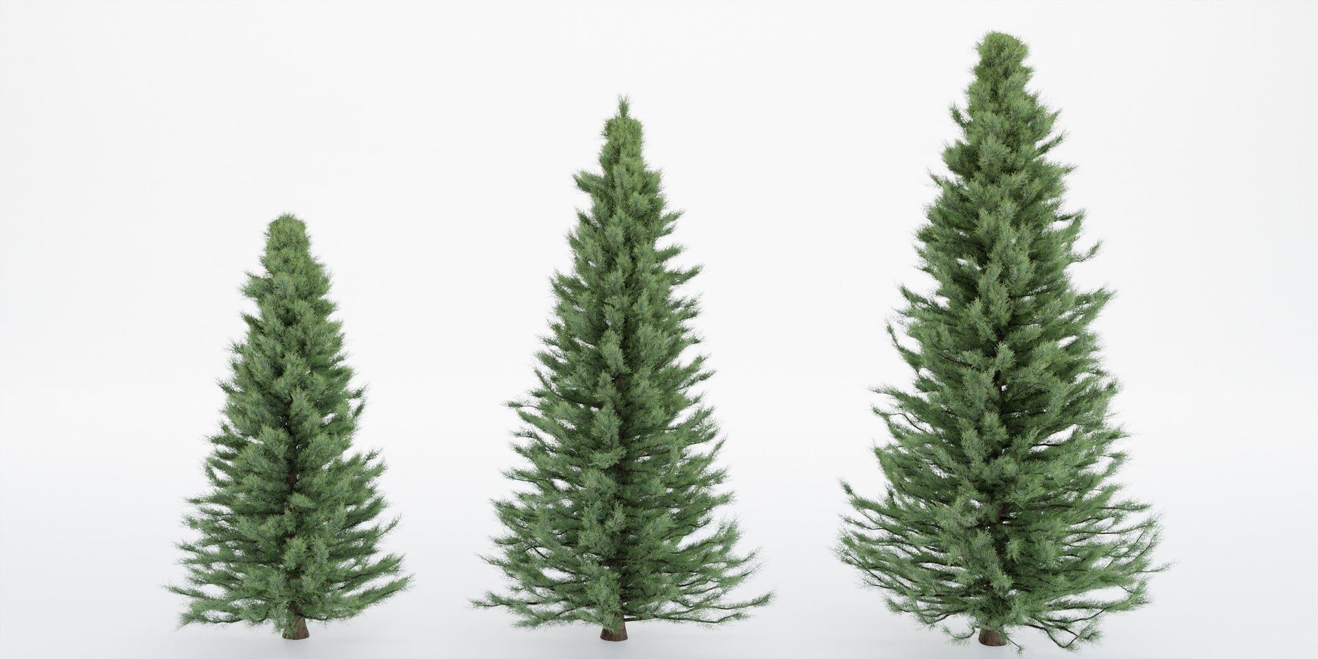 Pine trees collection vol 22-Blender 3D - TurboSquid 2107478