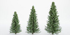 pine trees collection vol 22-Blender 3D