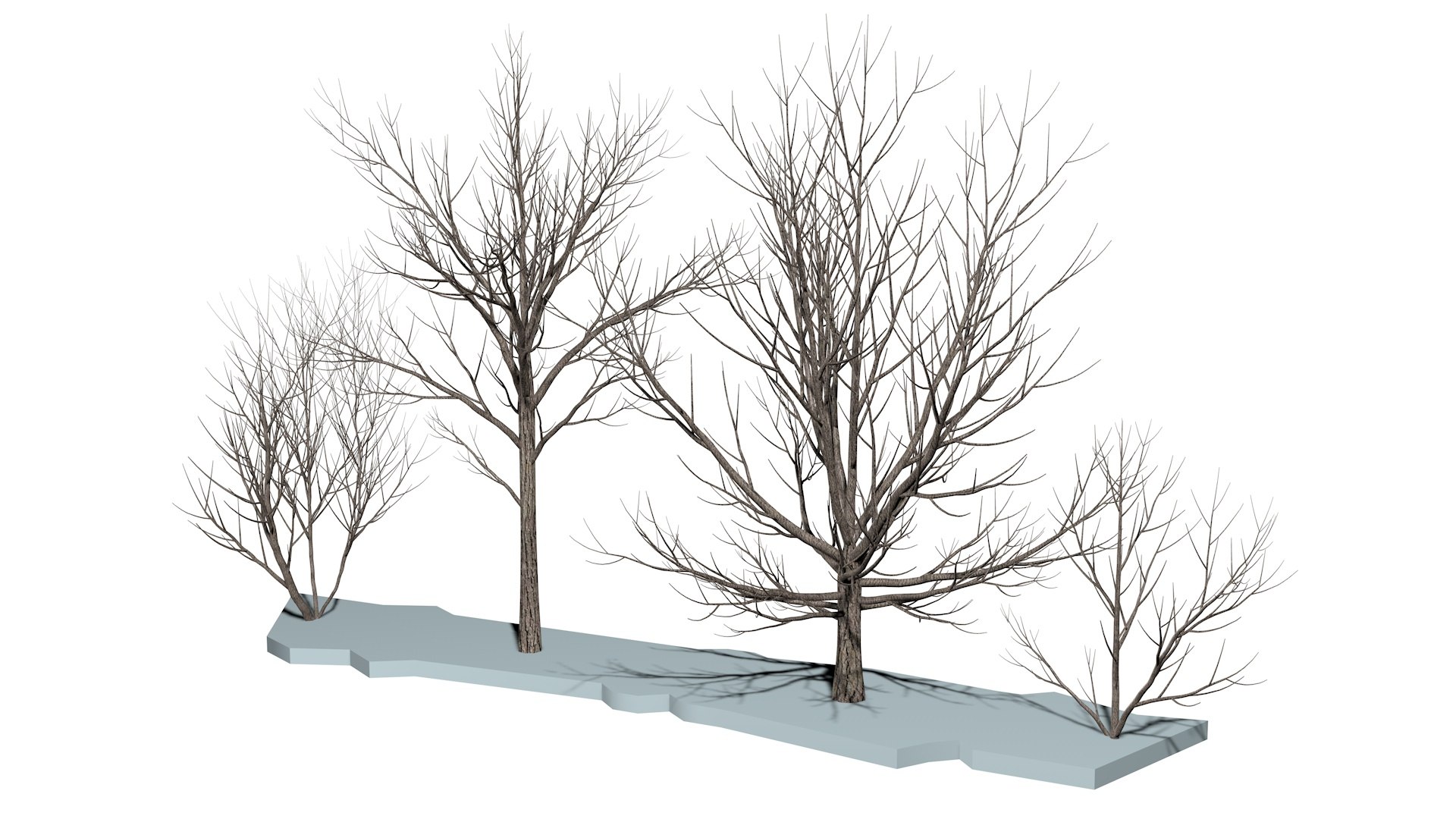 Bare Trees Low-poly R2 3D Model - TurboSquid 2063446