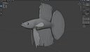 Betta Fish 3