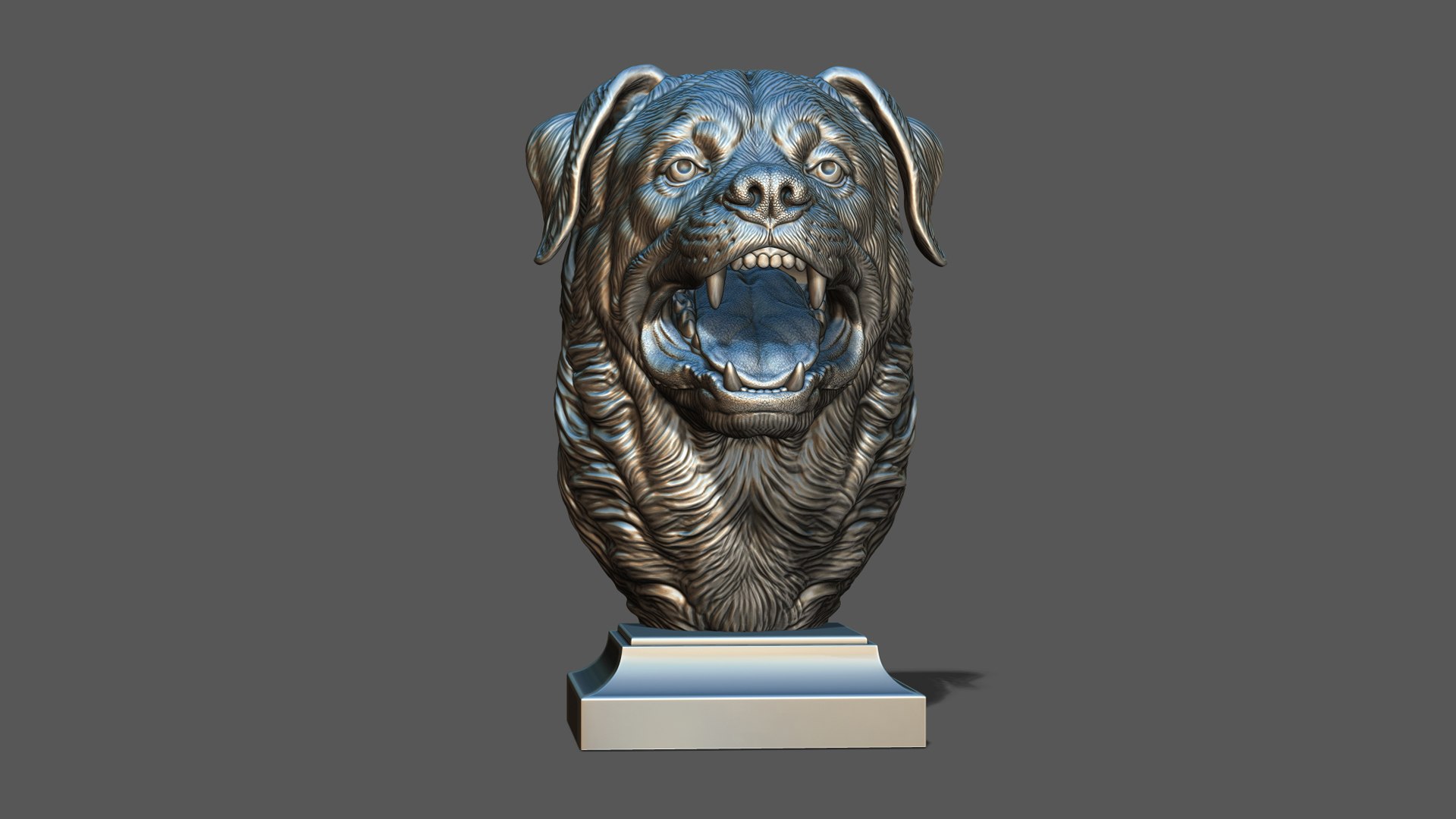3D Barking Rottweiler Bust model https://p.turbosquid.com/ts-thumb/fS/w1T4Fg/7t/38/jpg/1766735956/1920x1080/fit_q87/1f03537508bc28cae0eccef456a788672e87763f/38.jpg