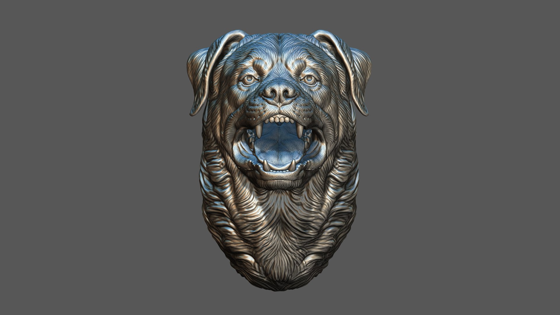 3D Barking Rottweiler Bust model https://p.turbosquid.com/ts-thumb/fS/w1T4Fg/D6/17/jpg/1766735908/1920x1080/fit_q87/4147cc2dab1fc0c9b3c26b7717ee49d877946885/17.jpg