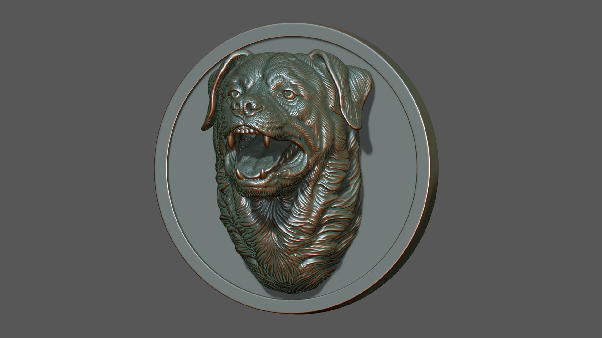3D Barking Rottweiler Bust model https://p.turbosquid.com/ts-thumb/fS/w1T4Fg/IQ/11/jpg/1766735888/1920x1080/fit_q87/3ae26d6b6139c01451ecf8fa0e943943b7a133ea/11.jpg