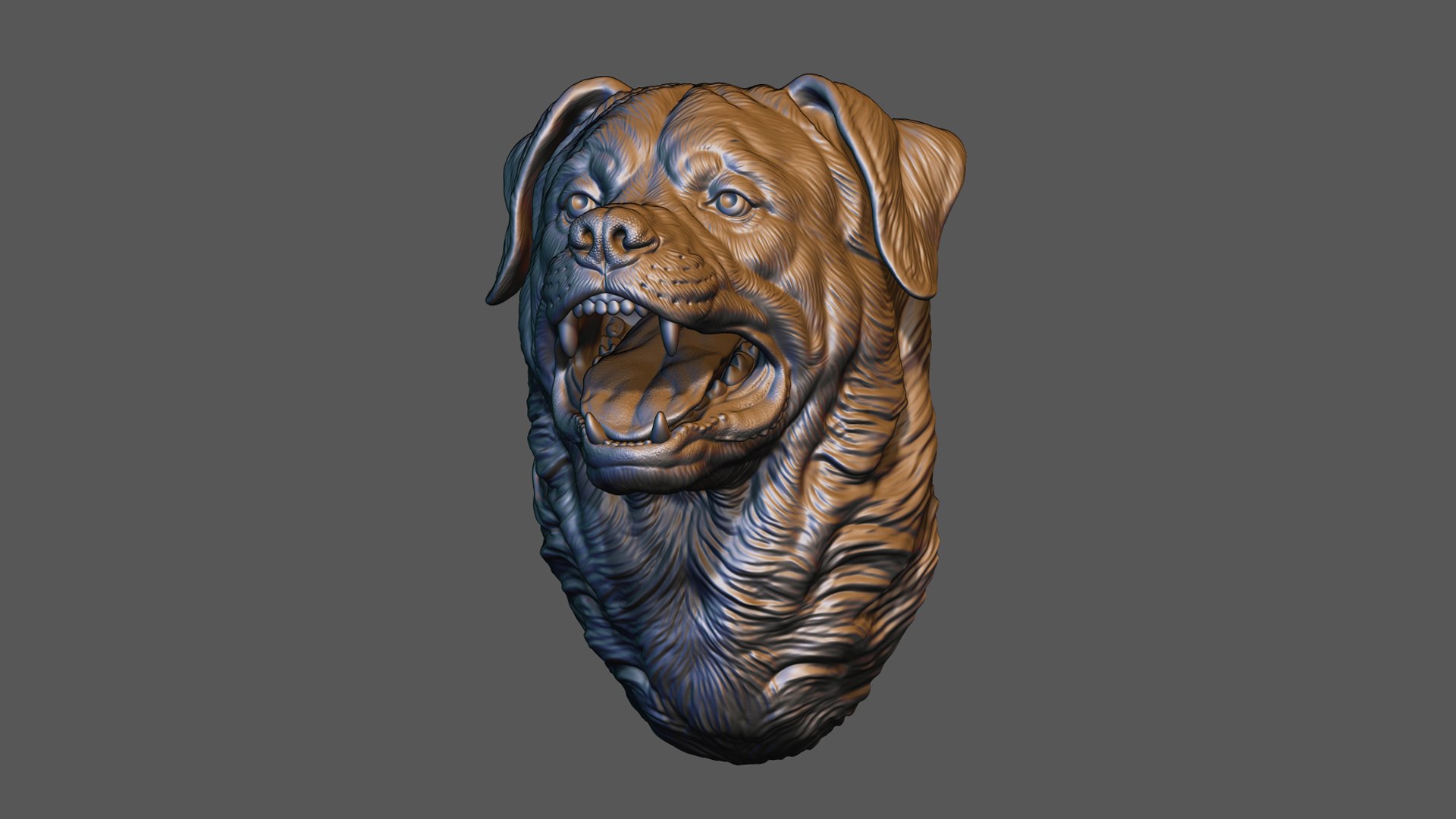 3D Barking Rottweiler Bust model https://p.turbosquid.com/ts-thumb/fS/w1T4Fg/JM/18/jpg/1766735915/1920x1080/fit_q87/f3b4ab339bae28db8833c8eca914ffdece235158/18.jpg