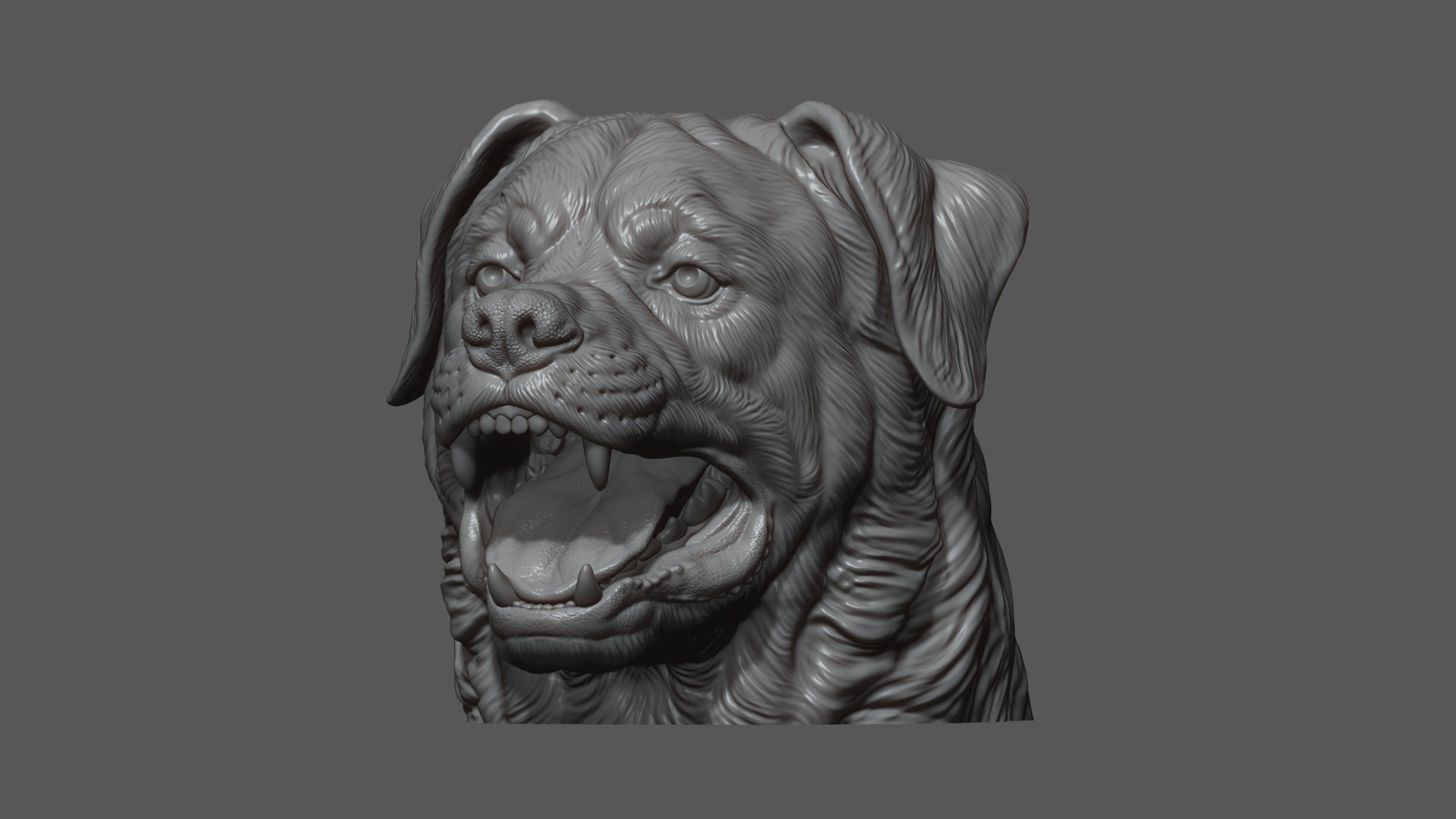 3D Barking Rottweiler Bust model https://p.turbosquid.com/ts-thumb/fS/w1T4Fg/ZY/22/jpg/1766735936/1920x1080/fit_q87/966f30c3df68b39c3ab51642a5bcd7aaf72638e9/22.jpg