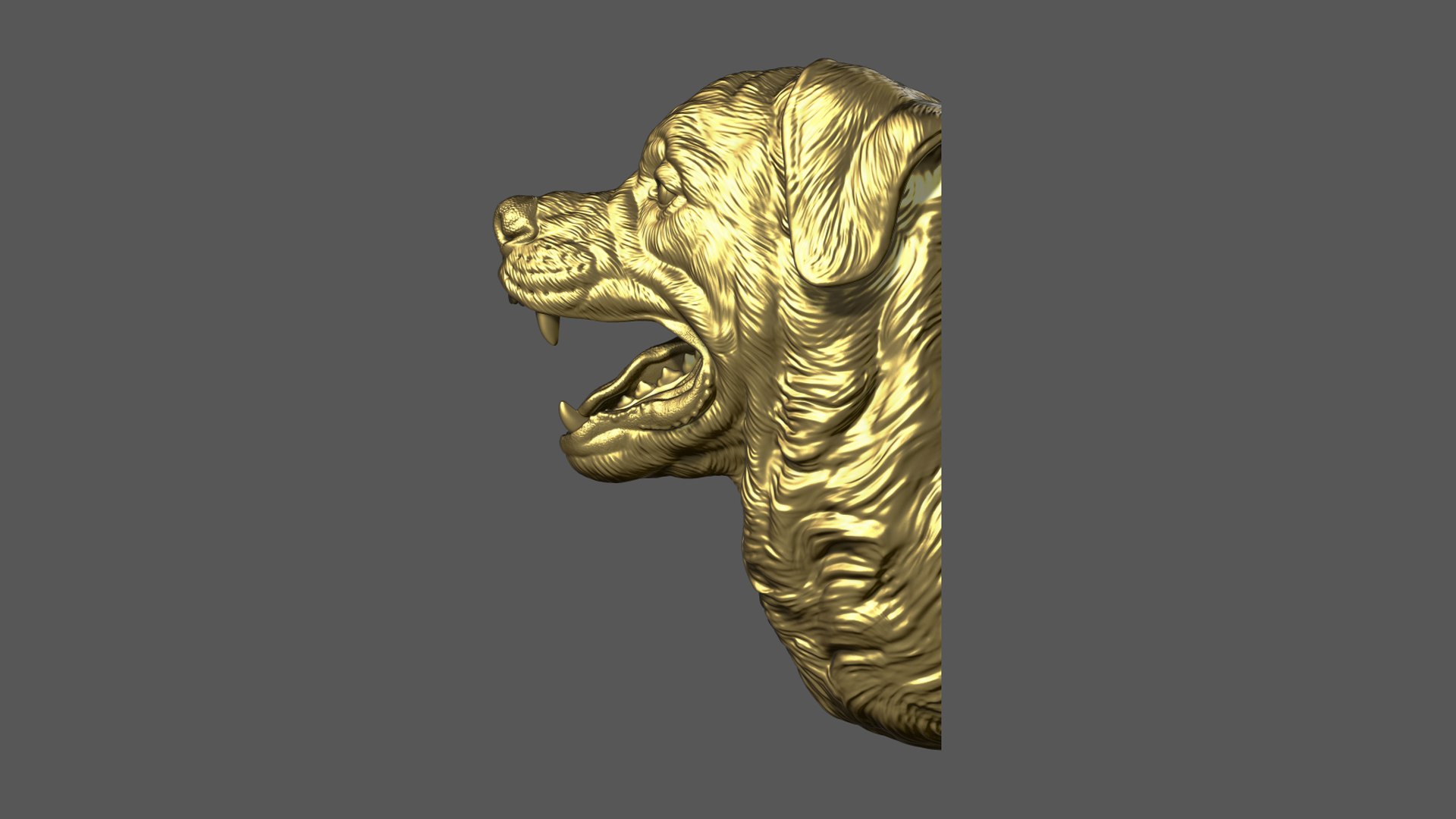 3D Barking Rottweiler Bust model https://p.turbosquid.com/ts-thumb/fS/w1T4Fg/ak/19/jpg/1766735925/1920x1080/fit_q87/8b5ea46a09b94c4a09e042976729c079da261c0d/19.jpg
