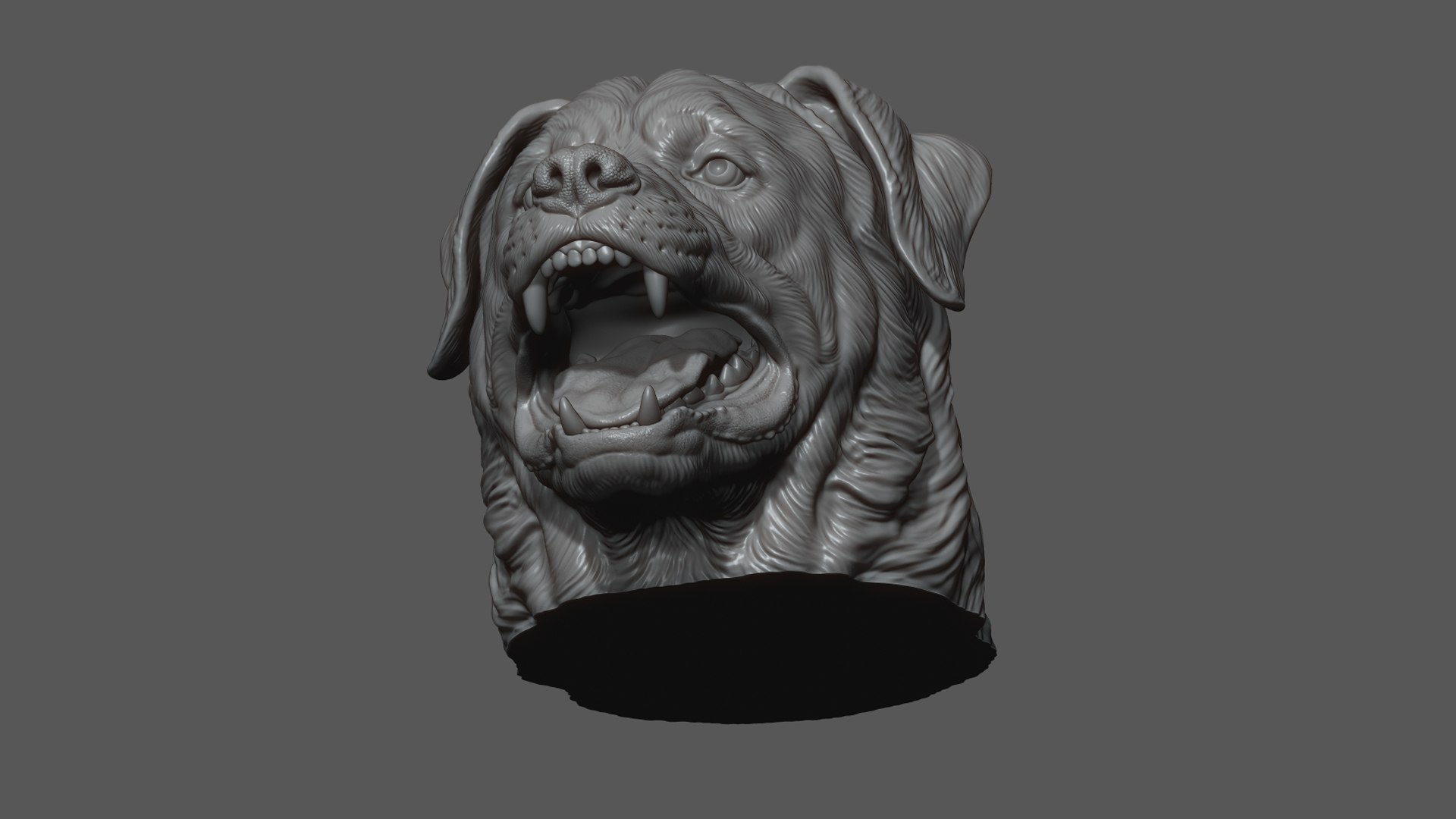 3D Barking Rottweiler Bust model https://p.turbosquid.com/ts-thumb/fS/w1T4Fg/kX/23/jpg/1766735938/1920x1080/fit_q87/31c5801e9fca53d291c58dfb5d21d017bfa9e154/23.jpg