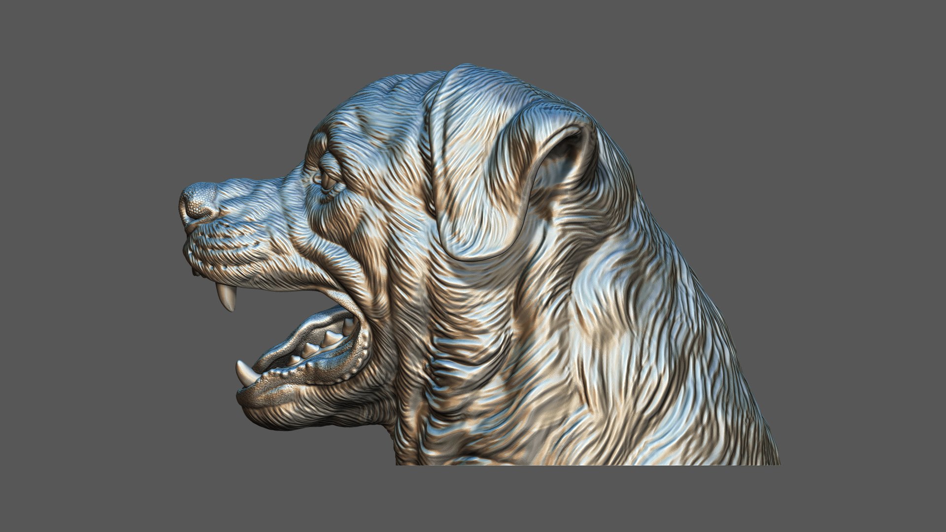 3D Barking Rottweiler Bust model https://p.turbosquid.com/ts-thumb/fS/w1T4Fg/lW/27/jpg/1766735948/1920x1080/fit_q87/fa13be42df218be3a8a6e00d6488c6899aba60fa/27.jpg