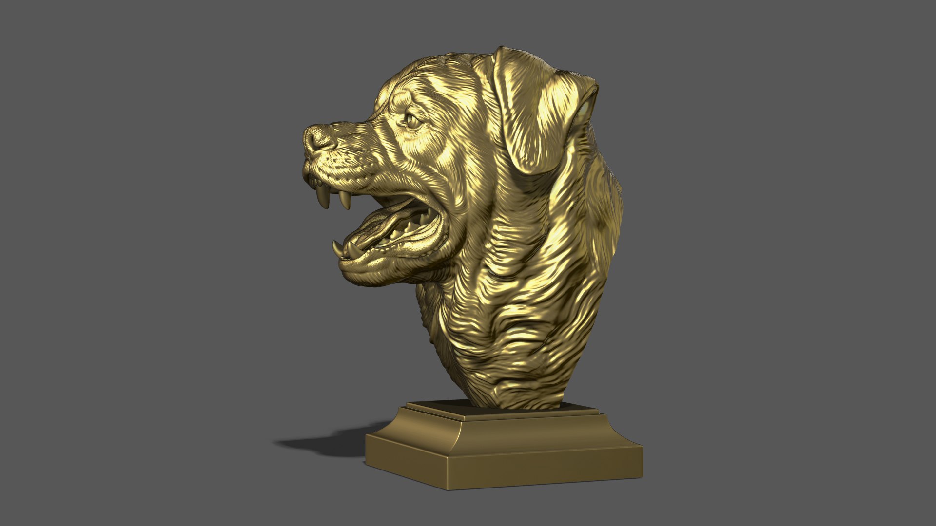 3D Barking Rottweiler Bust model https://p.turbosquid.com/ts-thumb/fS/w1T4Fg/vN/37/jpg/1766735954/1920x1080/fit_q87/2a7c1b2db57c4cb1c8b91d2864318d56c73b1c75/37.jpg