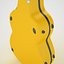 visesnut guitar case 3d model