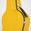 visesnut guitar case 3d model