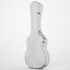 visesnut guitar case 3d model