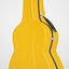 visesnut guitar case 3d model