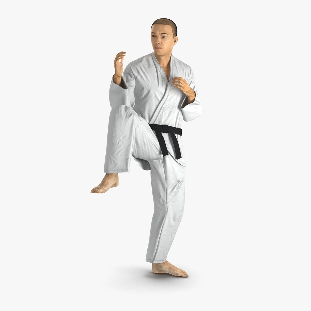 Japanese Karate Fighter Pose 3 with Fur 3D Model 3D model preview