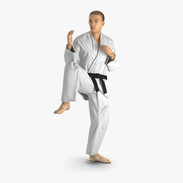 japanese karate fighter pose 3d max