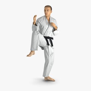 Japanese Karate Fighter Pose 3 with Fur 3D Model