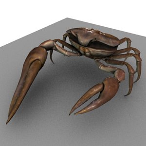 obj fiddler crab