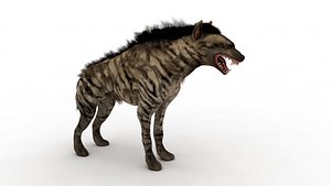 Hyena 3D model