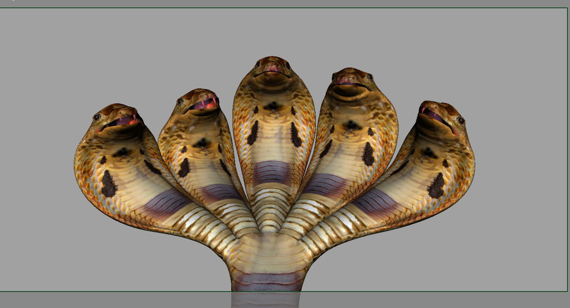 Head Kingcobra Rig 3D Model - TurboSquid 1484296