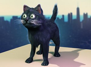 street cat max