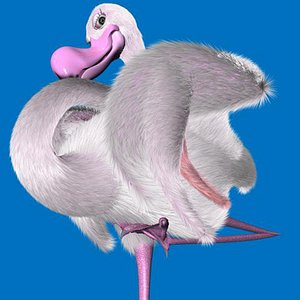 flamingoC